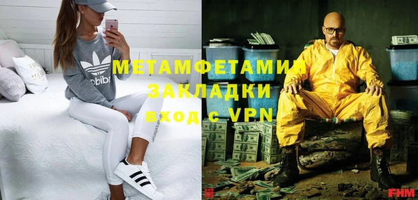 индика Володарск