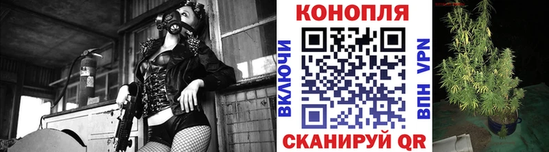 Конопля THC 21% Новосокольники